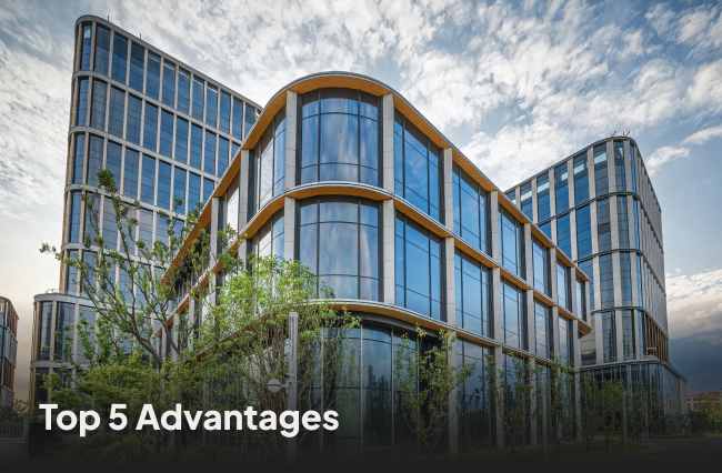 Advantages of company formation