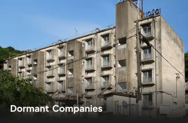 Dormant French Companies: Benefits & Key Insights