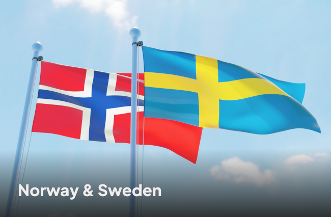 Company Formation Comparison between Norway and Sweden