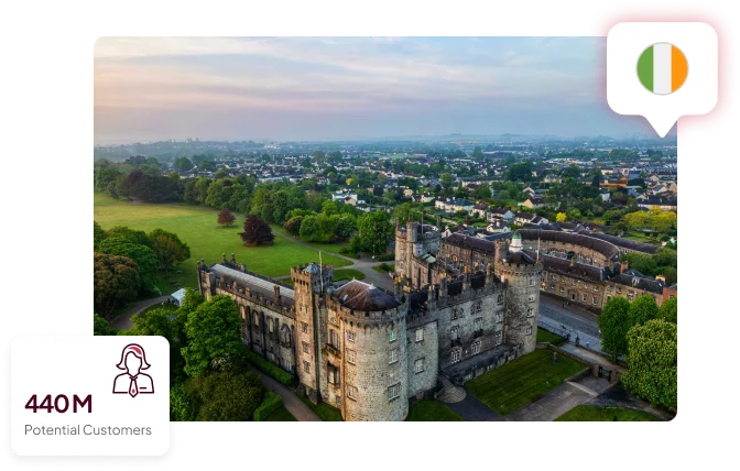 Set Up a Subsidiary Company in Ireland